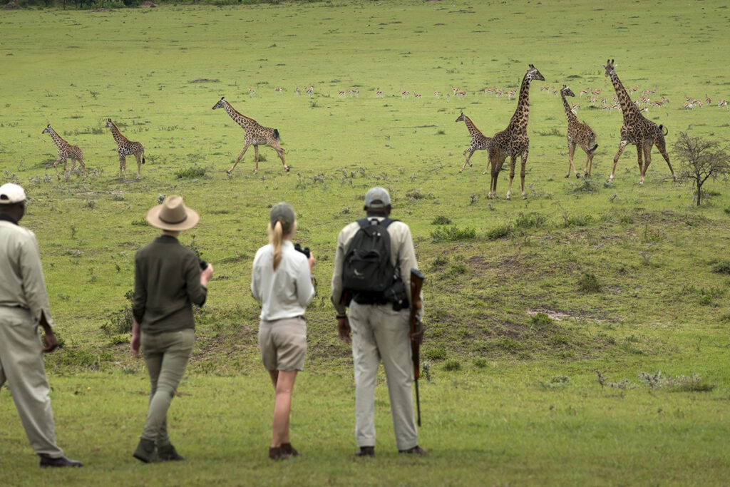4-Day Tanzania Family Safari
