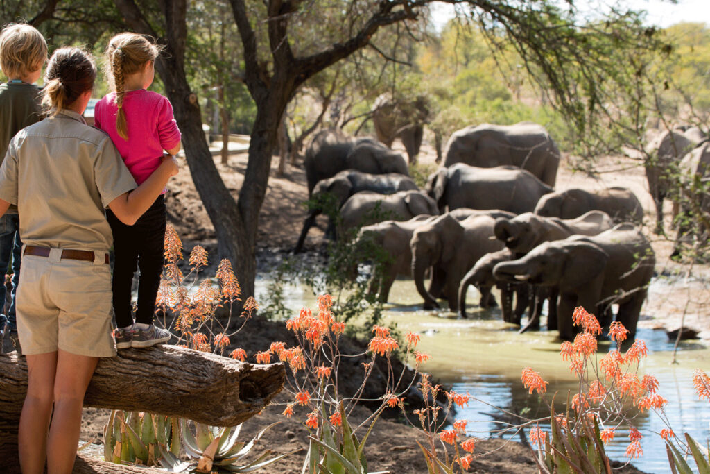 6-Day Tanzania Family Safari