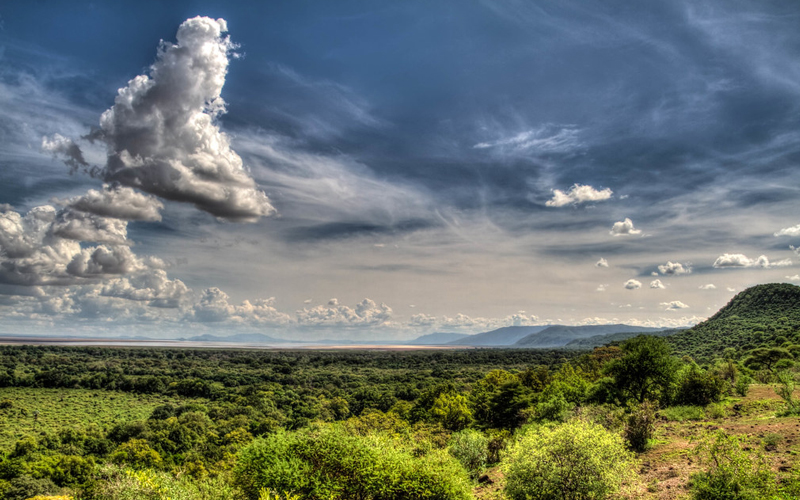 What is Lake Manyara National Park famous for? The park is renowned for its tree-climbing lions, large herds of elephants, and flocks of flamingos on Lake Manyara. How much time should I spend in Lake Manyara National Park? A full-day safari is enough to explore the park’s highlights. For a more relaxed experience, stay overnight and enjoy activities like night game drives. Can I visit Lake Manyara on a day trip? Yes, the park’s proximity to Arusha makes it an ideal destination for a day trip. Lauwo Adventures can arrange everything, from transportation to guided tours. Is Lake Manyara good for birdwatching? Absolutely! With over 400 bird species, it’s a birdwatcher’s paradise, especially during the wet season. Is Lake Manyara suitable for families? Yes, the park’s small size and diverse activities, like the treetop walkway, make it perfect for families with children.