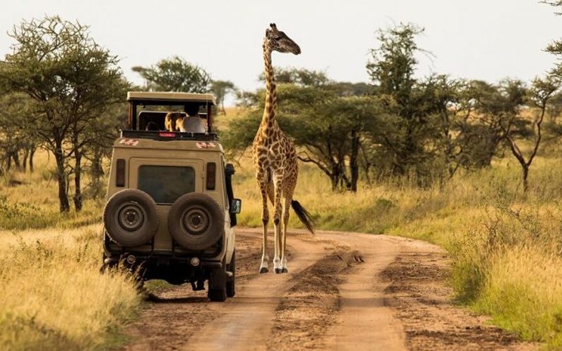 Lake Manyara National Park