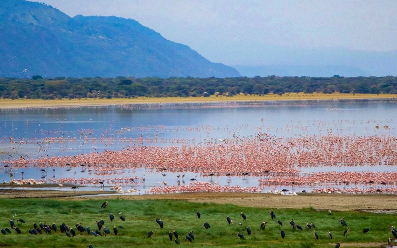 Lake Manyara National Park