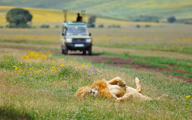 Ngorongoro Conservation Area