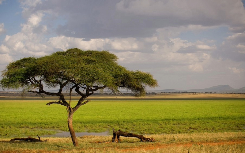Tarangire National Park