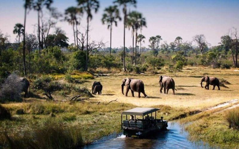 Tarangire National Park