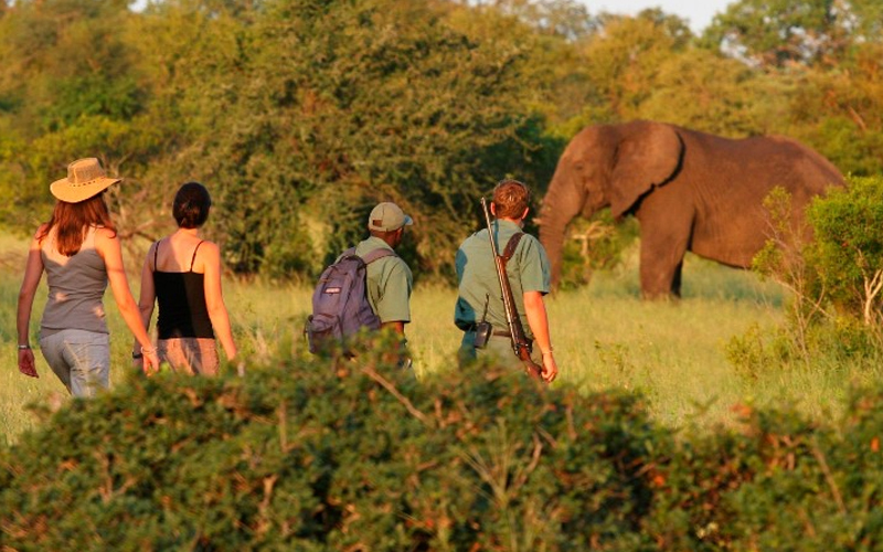 Tarangire National Park