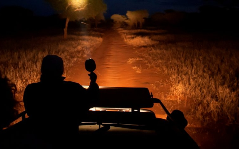 Tarangire National Park