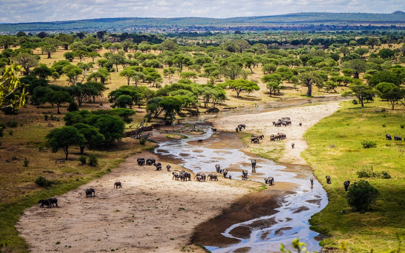 Tarangire National Park