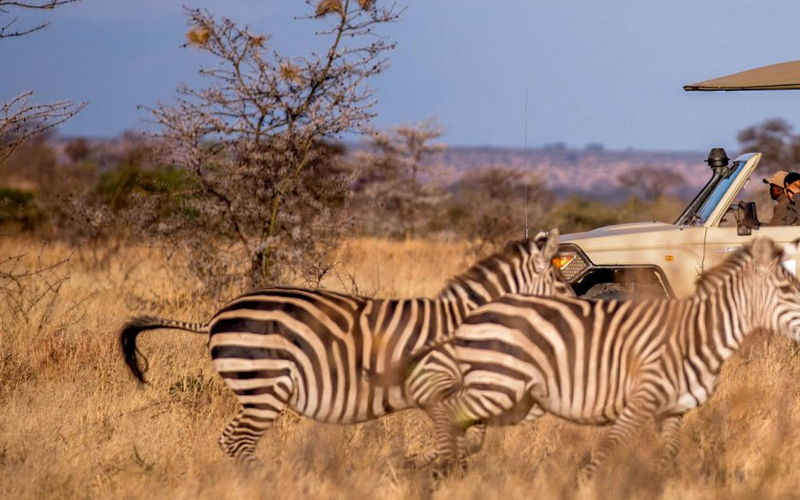 Nyerere National Park