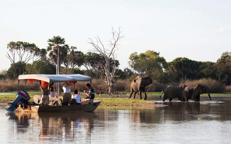 Nyerere National Park