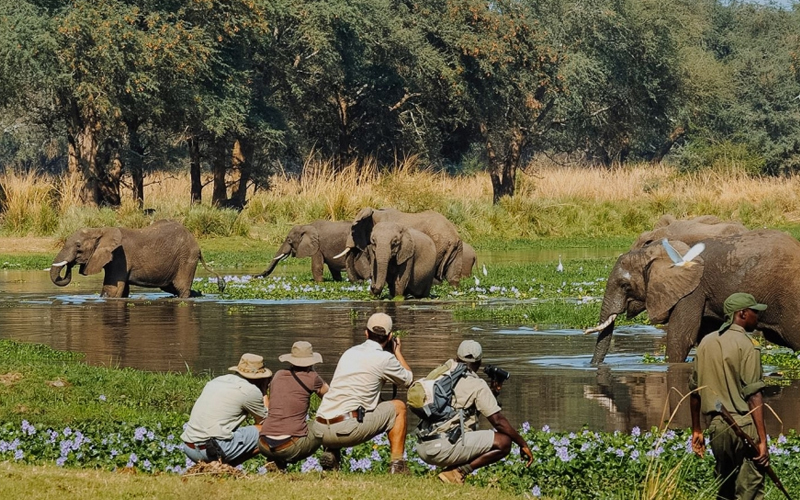 Nyerere National Park