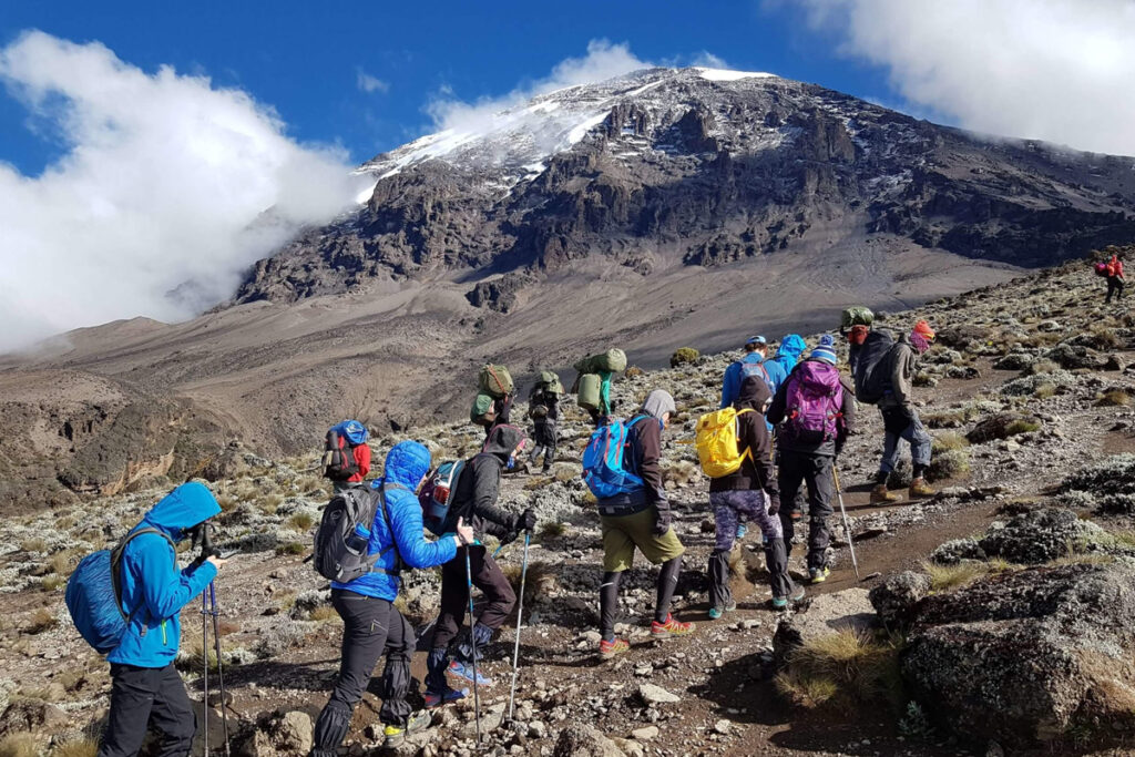 7-Day Machame Route (Whiskey Route)