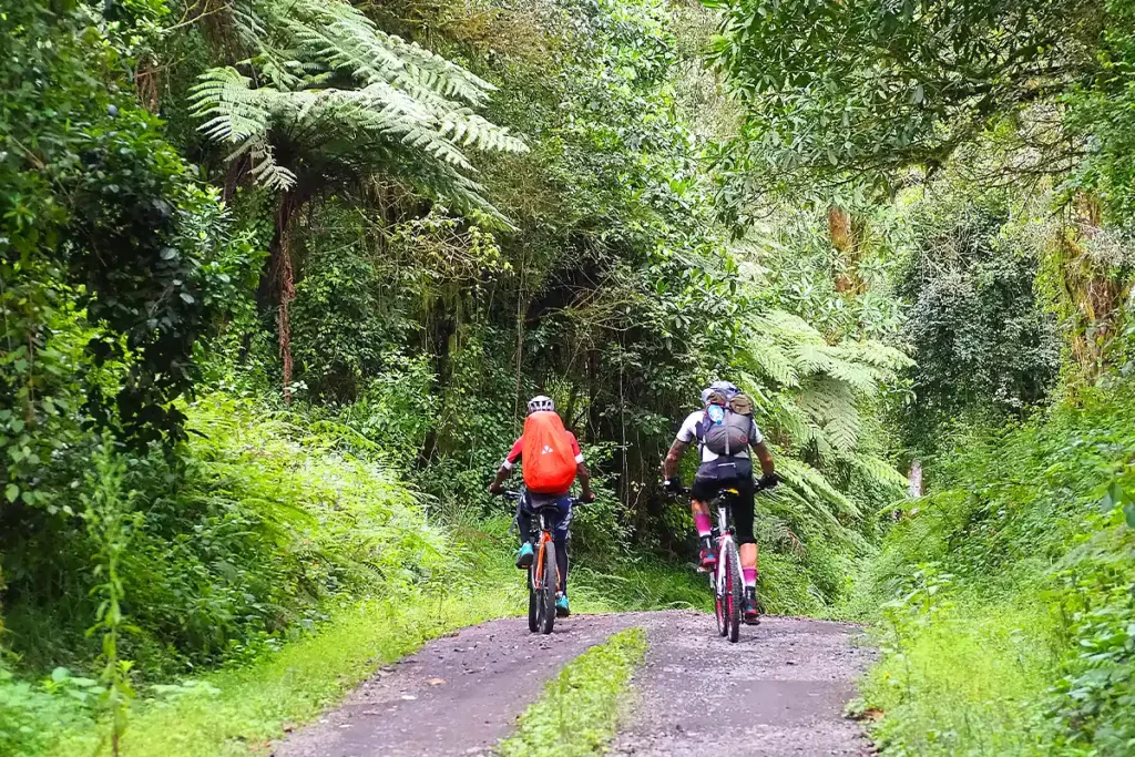 Cycle West Kilimanjaro to Arusha National Park