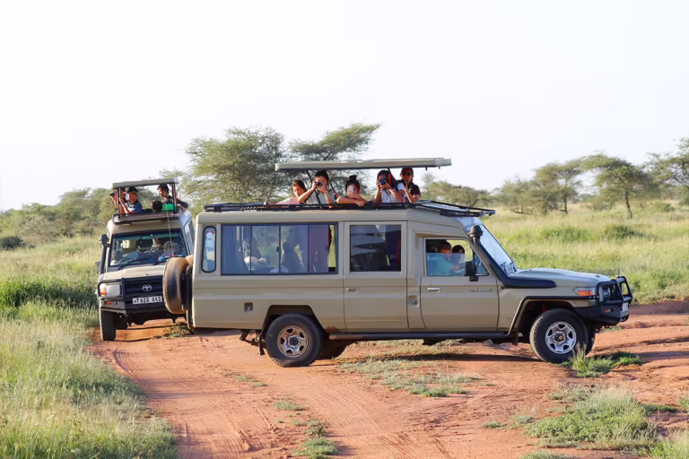 Travel FAQs