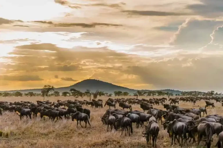 Serengeti National Park